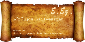 Sólyom Szilveszter névjegykártya